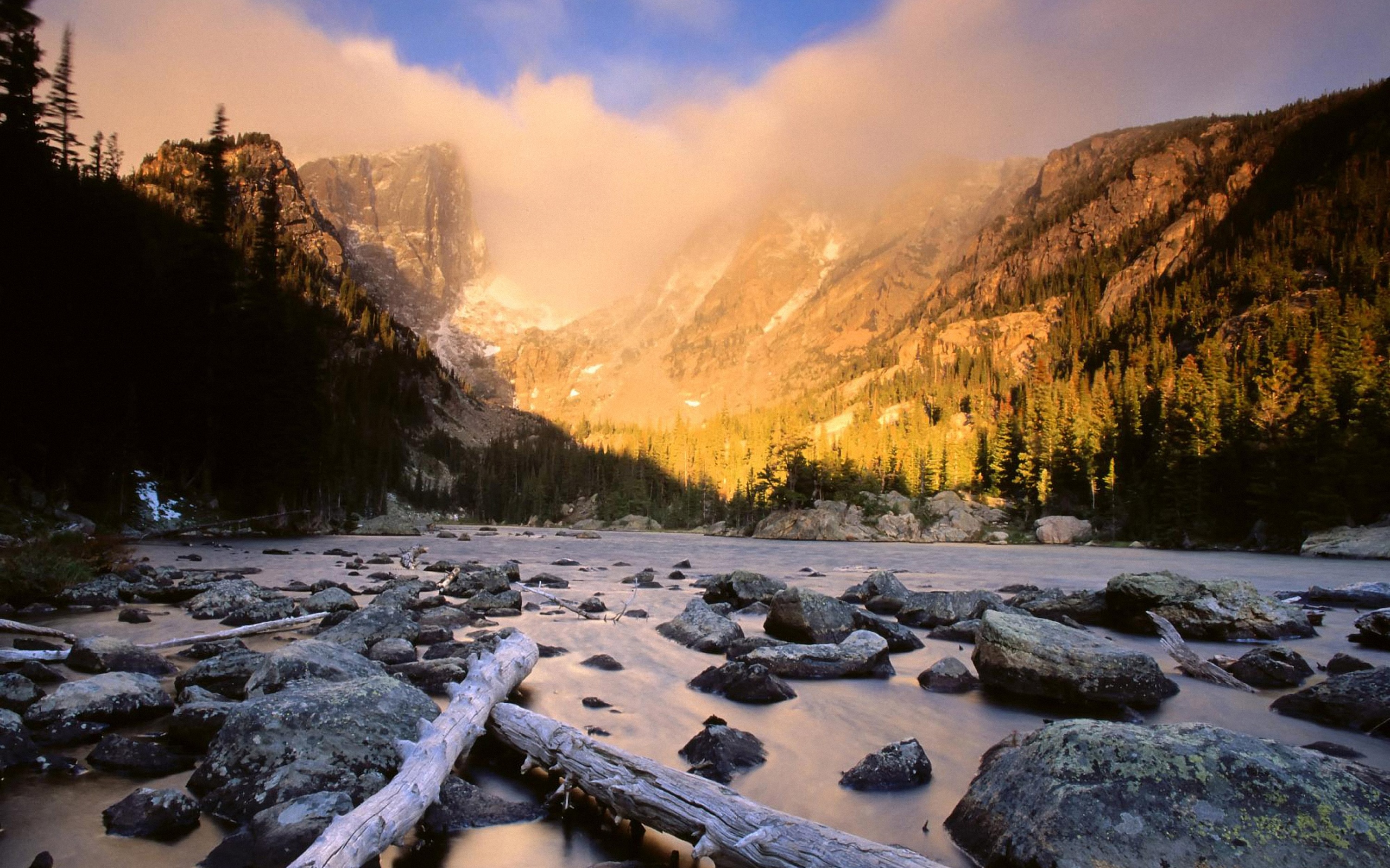 软件体系结构期末复习（二）